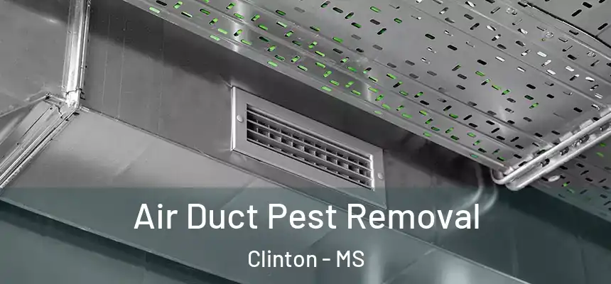  Air Duct Pest Removal Clinton - MS