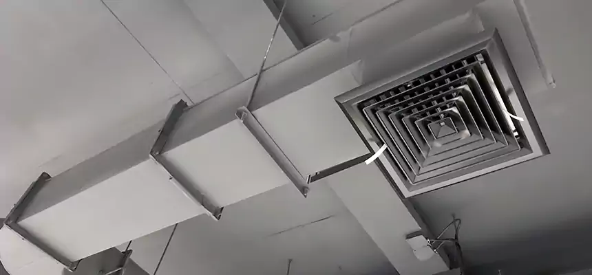 Our Pest Removal From Ducts Services in Clinton, MS