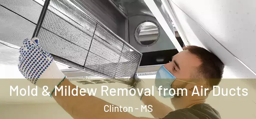 Mold & Mildew Removal from Air Ducts Clinton - MS