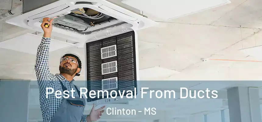  Pest Removal From Ducts Clinton - MS