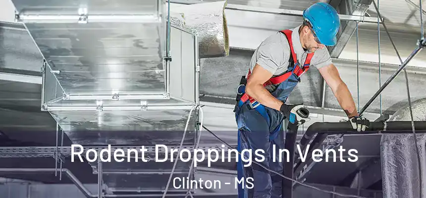  Rodent Droppings In Vents Clinton - MS