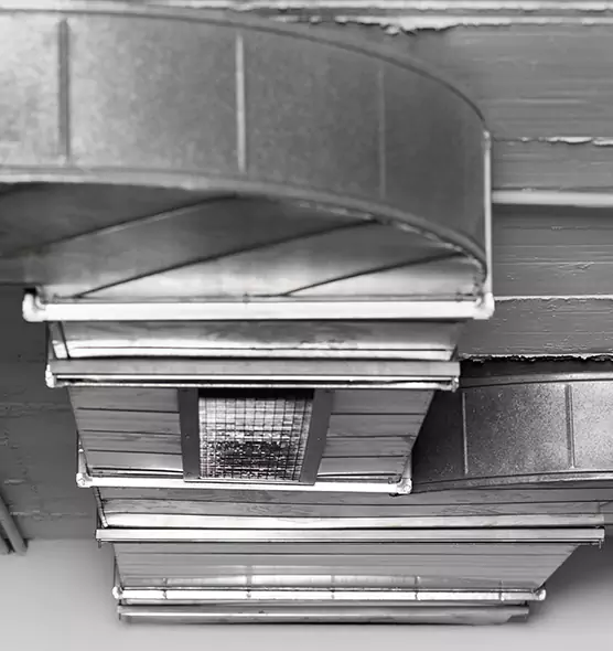 Professional Air Duct Pet Hair Removal in Clinton, MS