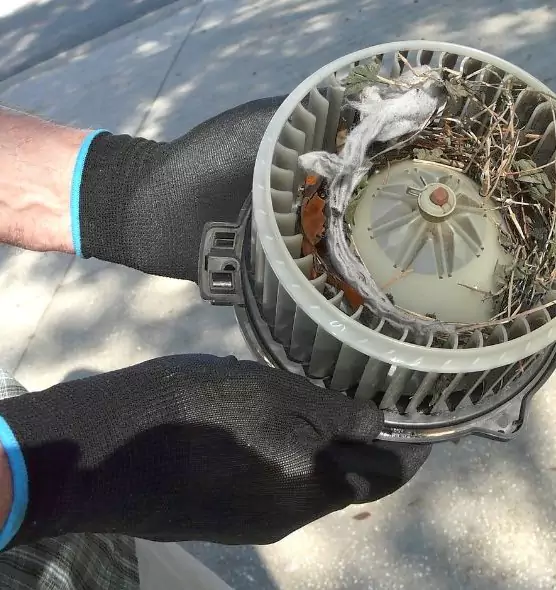 About Air Duct Rat Removal in Clinton, MS