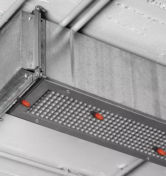 Affordable Insect Removal from Air Ducts in Clinton, MS
