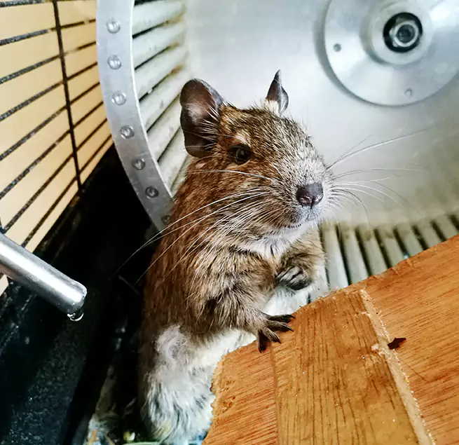 Why Homeowners & Businesses Trust Us Clinton, MS?